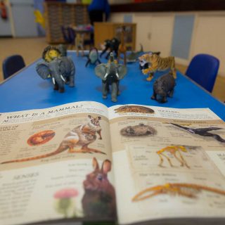 Preschool-indoor-8